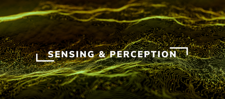 Featured image for Sensing & Perception